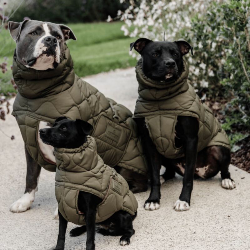 Manteau d'hiver pour chien Pina