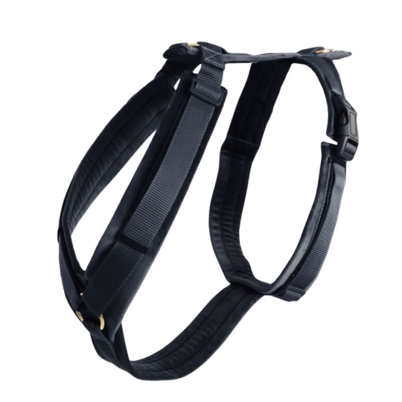 Harnais pour chien Active Velvet