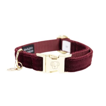Collier pour chien Corduroy