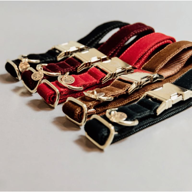Collier pour chien Corduroy