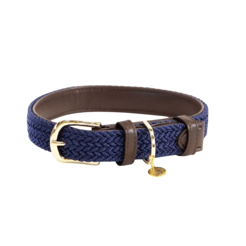 Collier pour chien Plaited Nylon