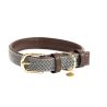 Collier pour chien Plaited Nylon