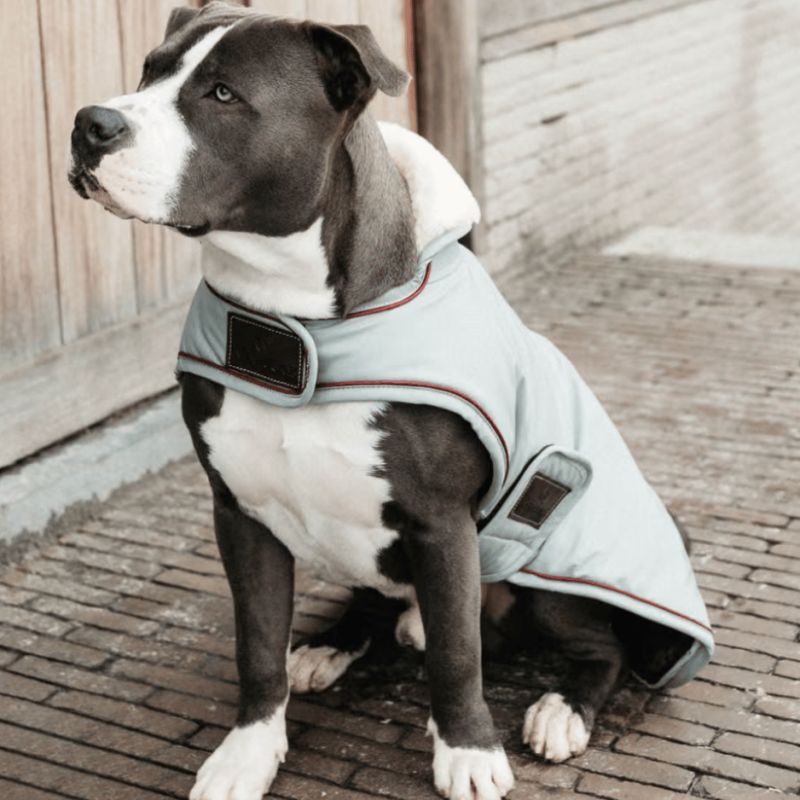 Manteau pour chien Imperméable 160g