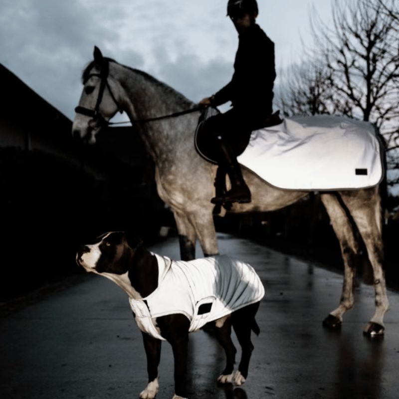 Manteau pour chien rèflèchissant & déperlant avec protection ventrale