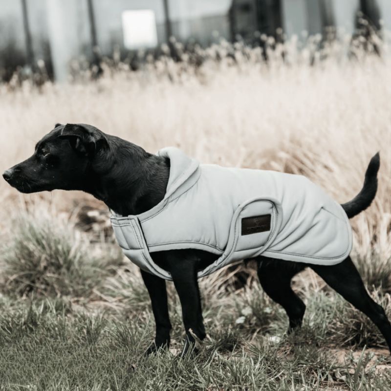 Manteau pour chien rèflèchissant & déperlant avec protection ventrale