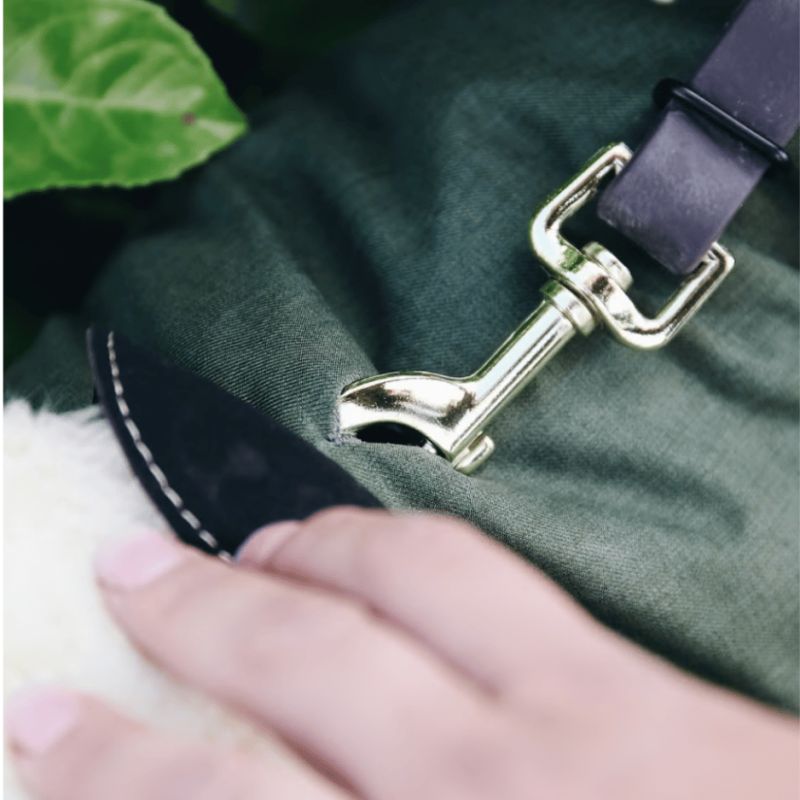 Manteau pour chien Imperméable 300g