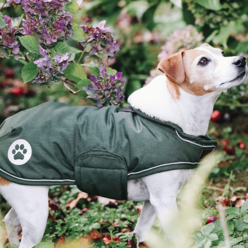 Manteau pour chien Imperméable 300g