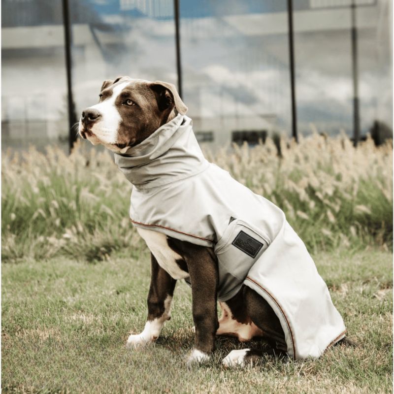 Veste Imperméable pour chien