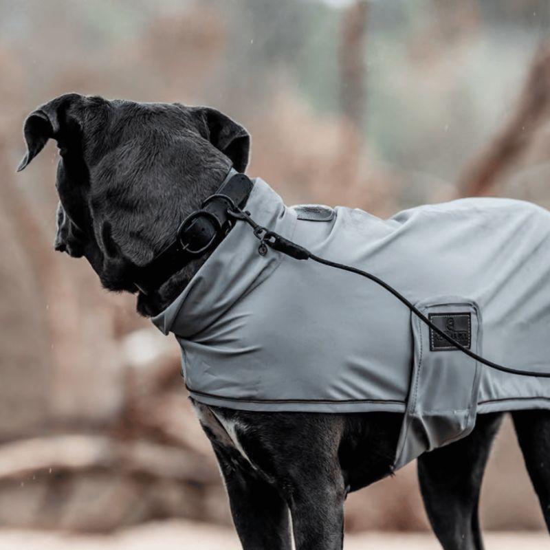 Collier pour chien Soft Rubber