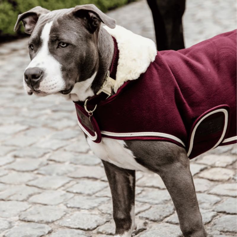 Manteau pour chien Heavy Fleece