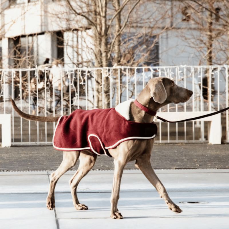 Manteau pour chien Heavy Fleece