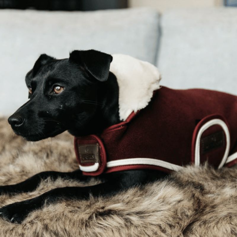 Manteau pour chien Heavy Fleece