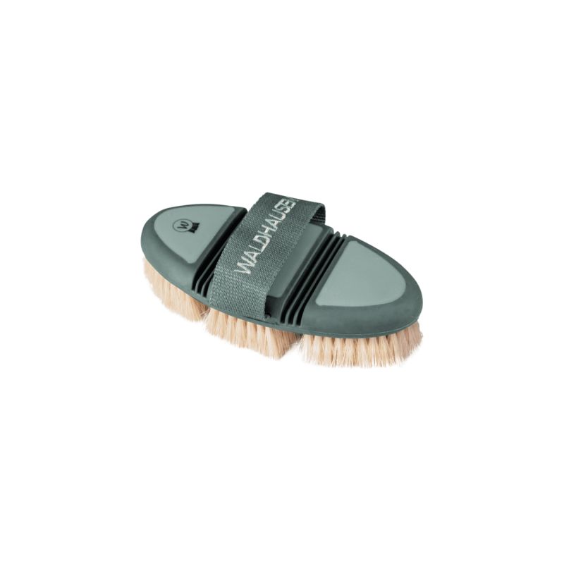 Brosse chiendent Flex