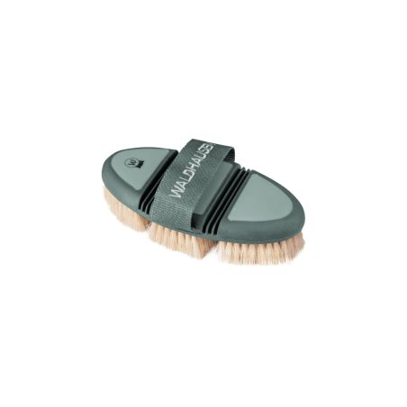 Brosse chiendent Flex