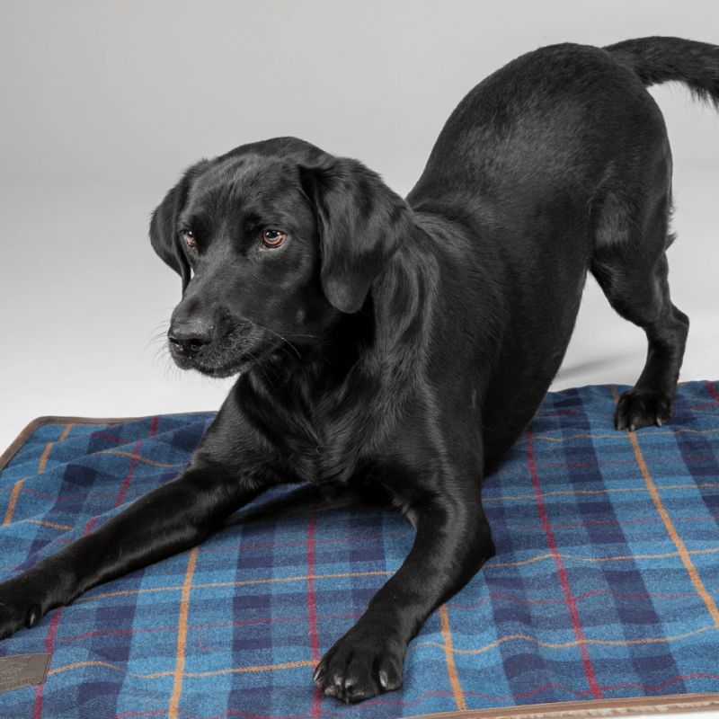 Couverture Tweed & Sherpa