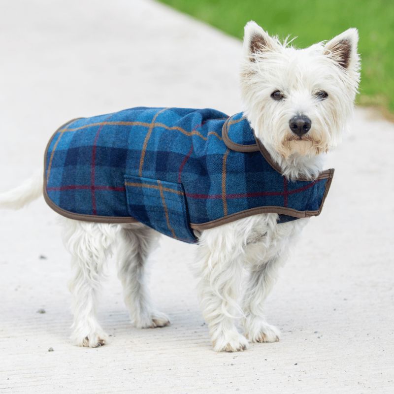 Manteau Tweed Classique