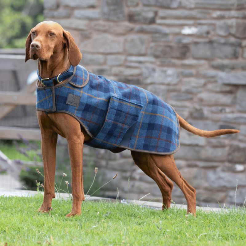 Manteau Tweed Classique