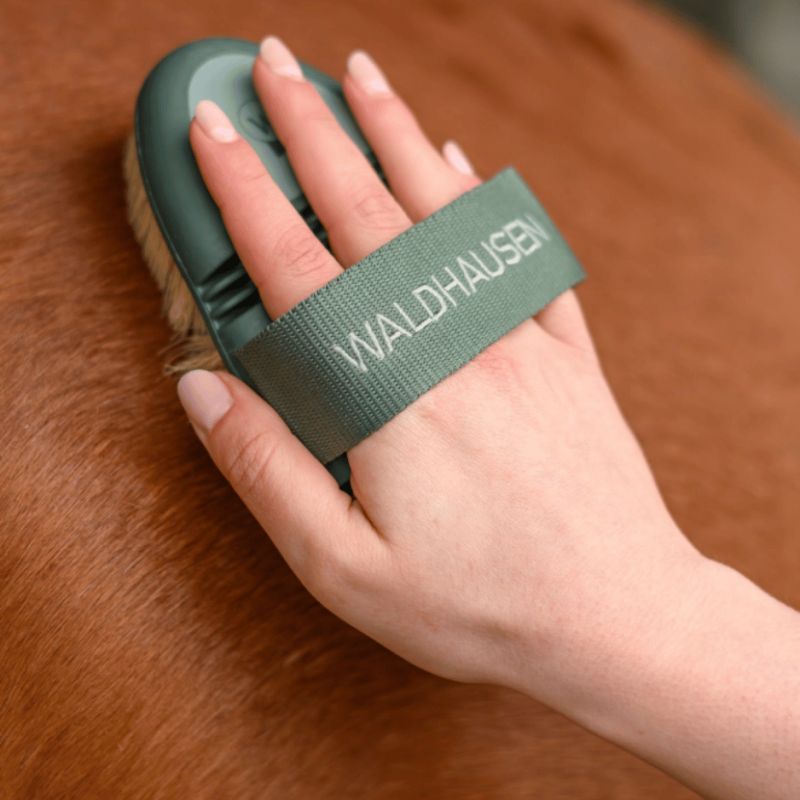 Brosse chiendent Flex