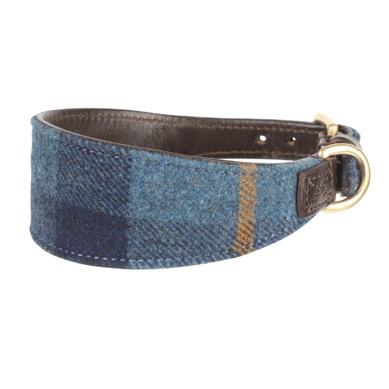 Collier Lévrier Tweed British