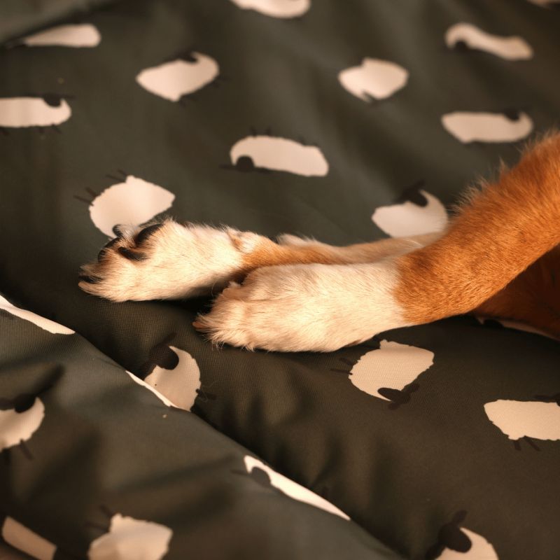 Tapis imperméable