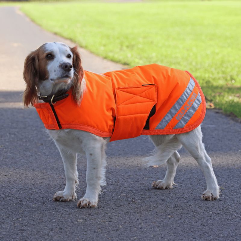 Manteau Equi-Flector