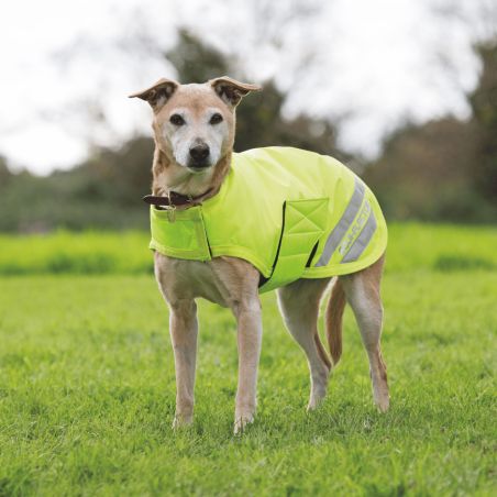 Manteau Equi-Flector