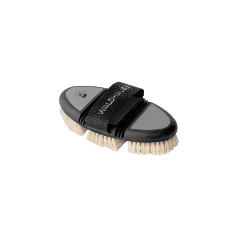 Brosse chiendent Flex