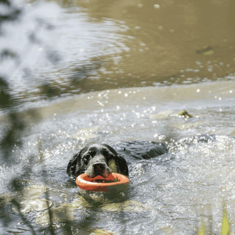 Anneau de Jeu Flottant