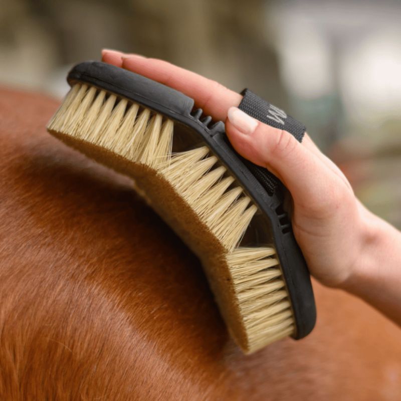 Brosse chiendent Flex