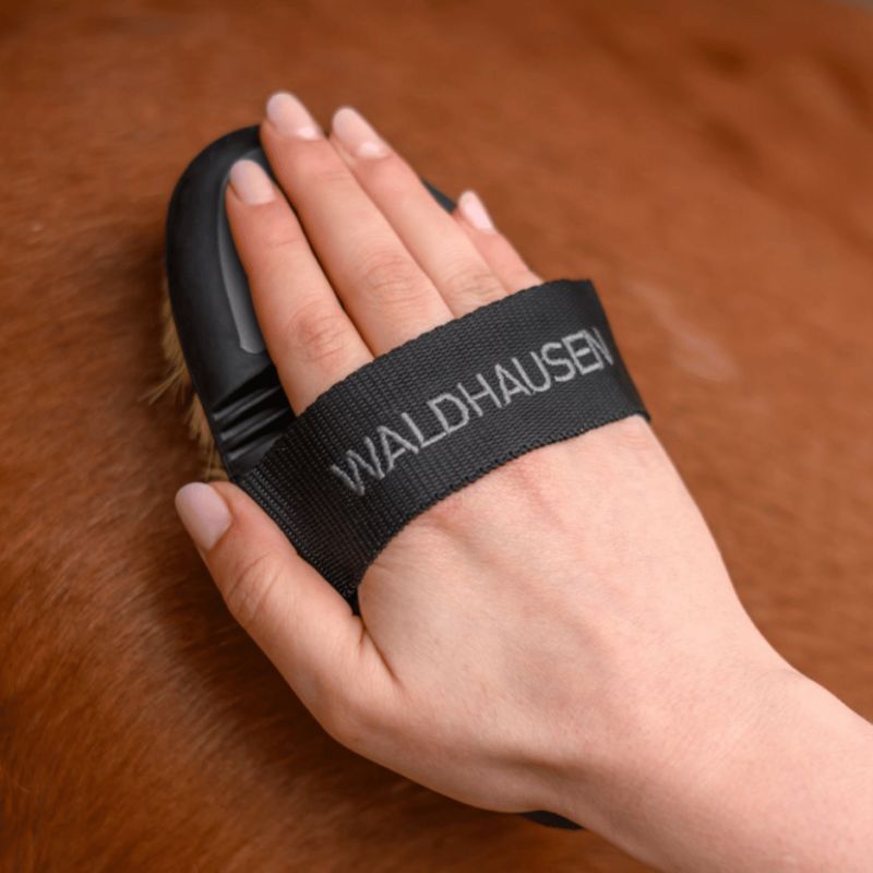 Brosse chiendent Flex