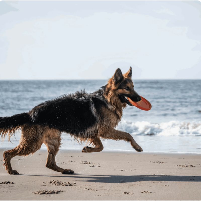 Frisbee Flottant Soft