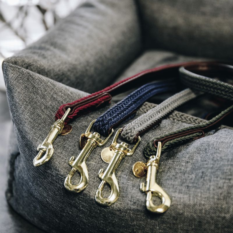 Laisse pour chien Plaited Nylon 200 cm