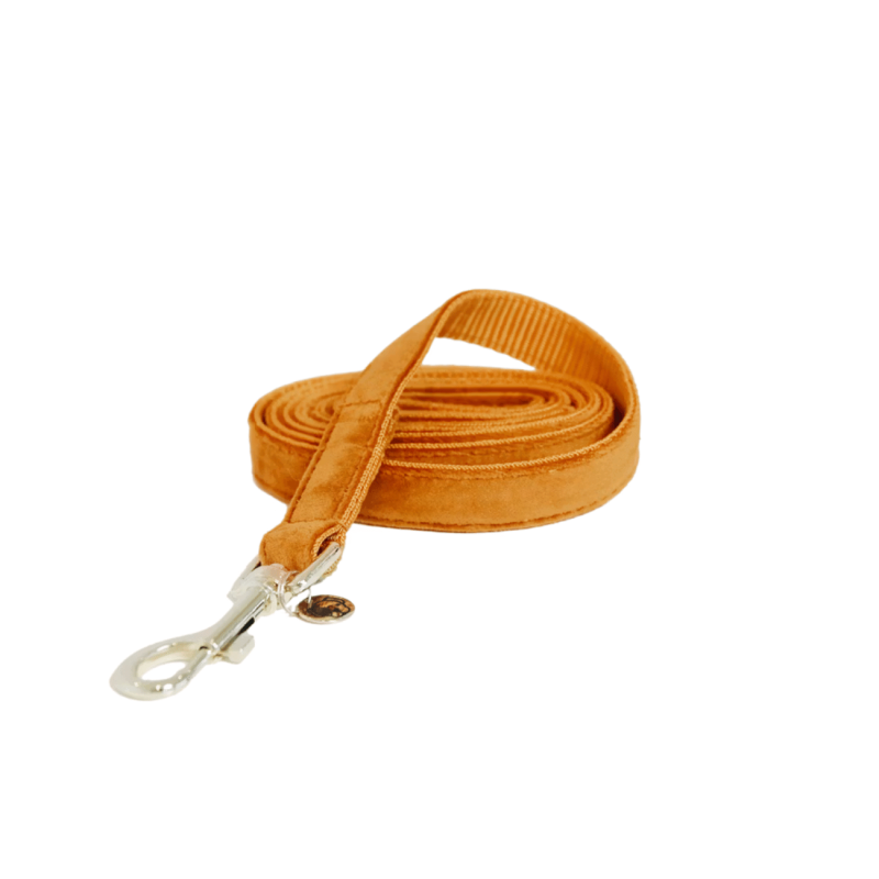 Laisse pour chien Velvet 200 cm - Kentucky | Waf & Co
