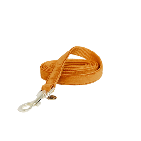 Laisse pour chien Velvet 200 cm - Kentucky | Waf & Co