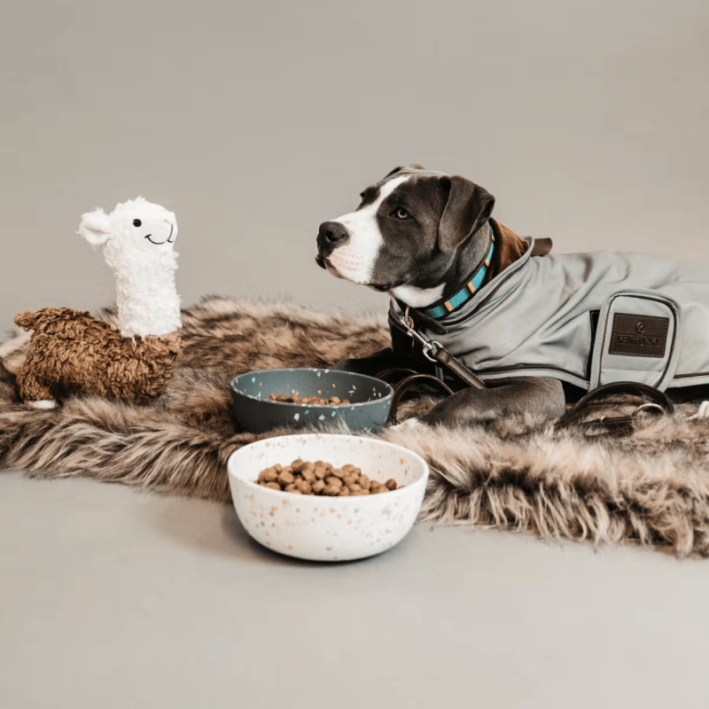 Reflective & Water-Repellent Dog Coat - Kentucky | Waf & Co