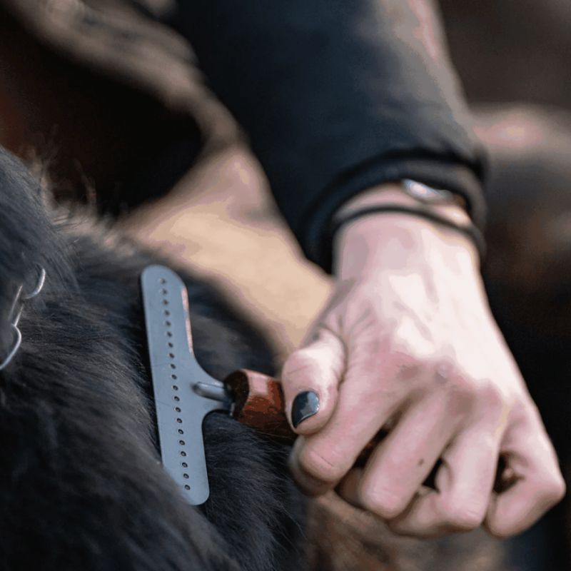 Peigne Démêloir 1 Rangée : Spécial Sous-Poil