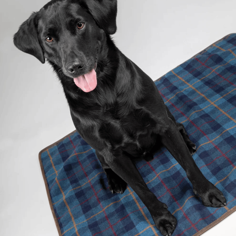 Tweed & Sherpa Blanket - Shires | Waf & Co