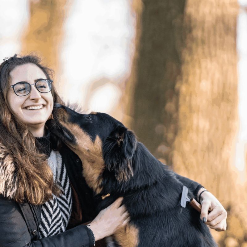Peigne Démêloir 1 Rangée : Spécial Sous-Poil