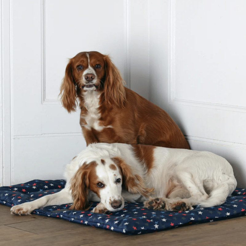 Tapis imperméable - Shires | Waf & Co