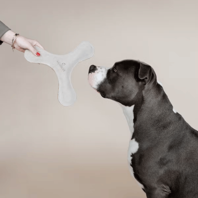 Jouet frisbee - Kentucky | Waf & Co