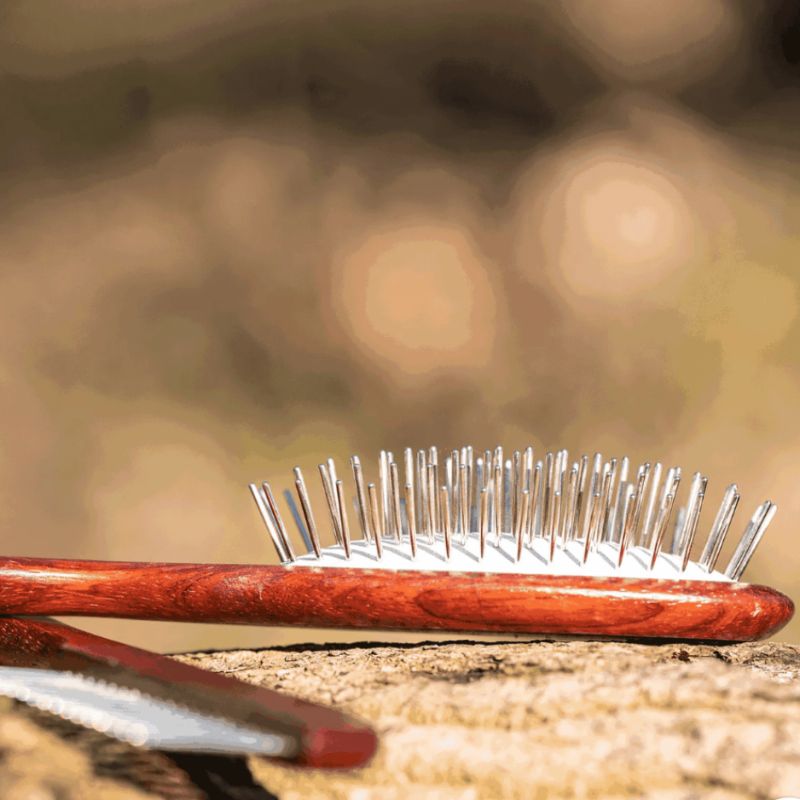 Brosse Douce à Picots Épais : Massage & Soin