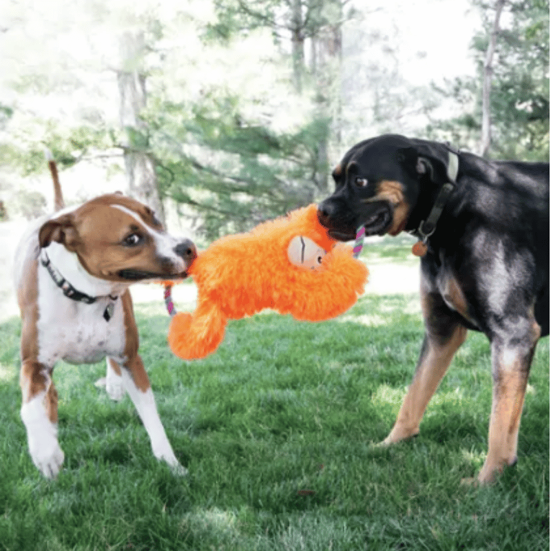 Orange Monkey Dog Toy - KONG| Waf & Co