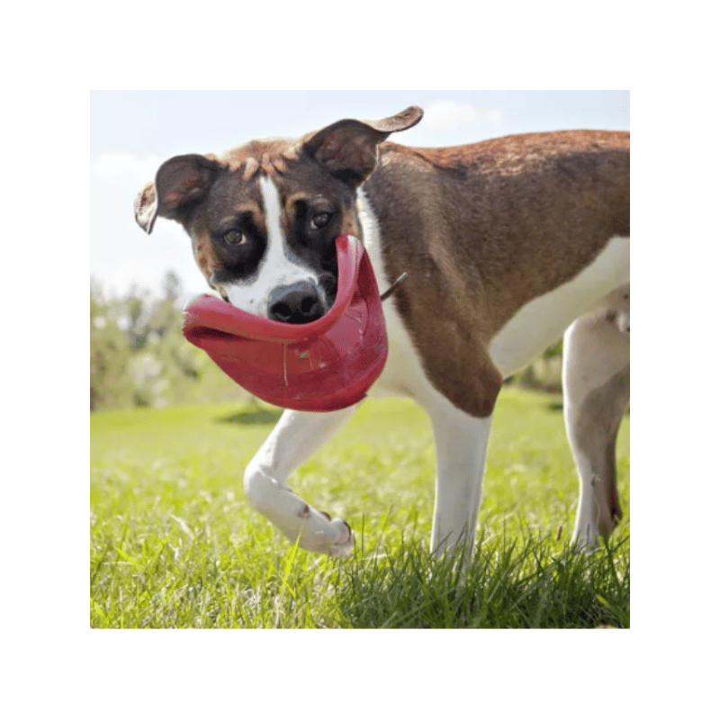 Jouet frisbee rouge – KONG | Waf & Co