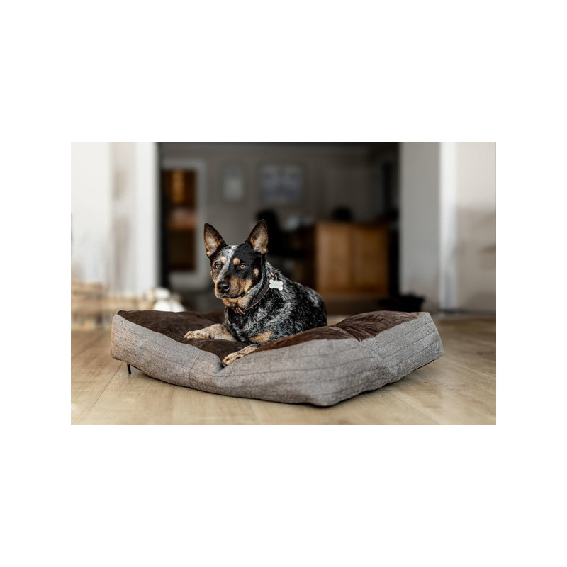 Rectangular Dog Cushion – HFI | Waf & Co