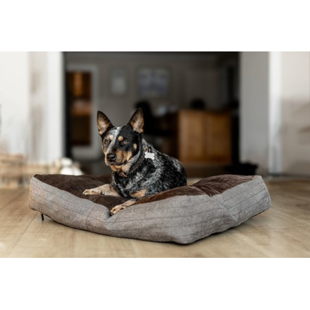 Rectangular Dog Cushion – HFI | Waf & Co