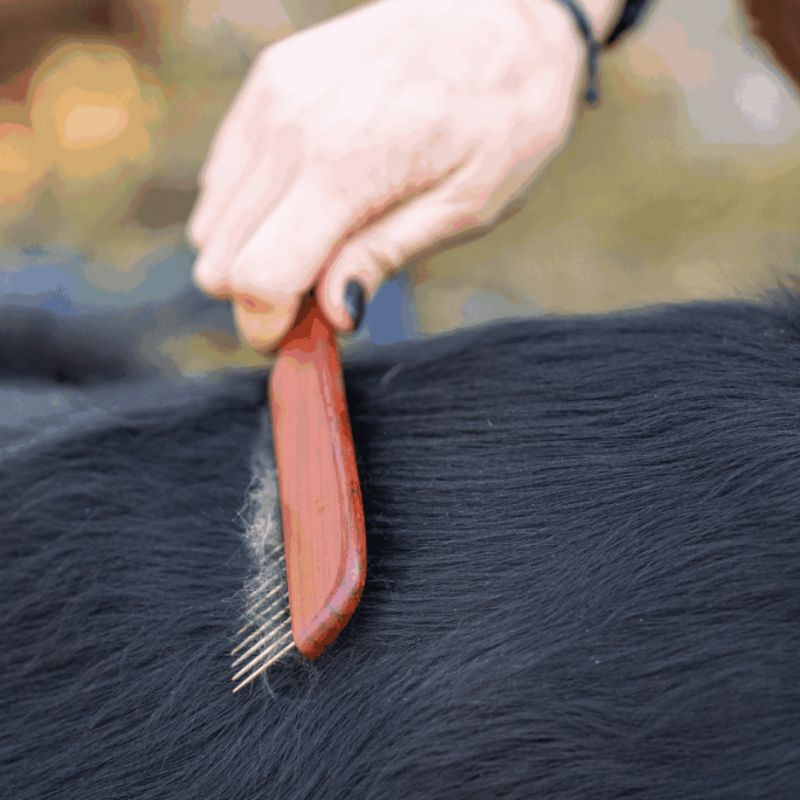 Peigne Pro Manche Fin : Spécial Poils Denses