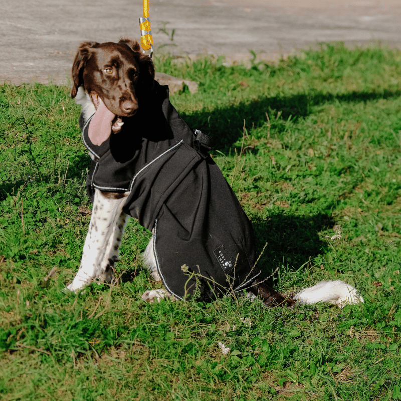 Dog Softshell Blanket – EQUITHÈME | Waf & Co