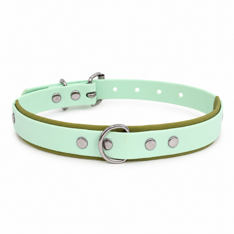 Collier pour chien imperméable vert et kaki - Waf & Co | Waf & Co