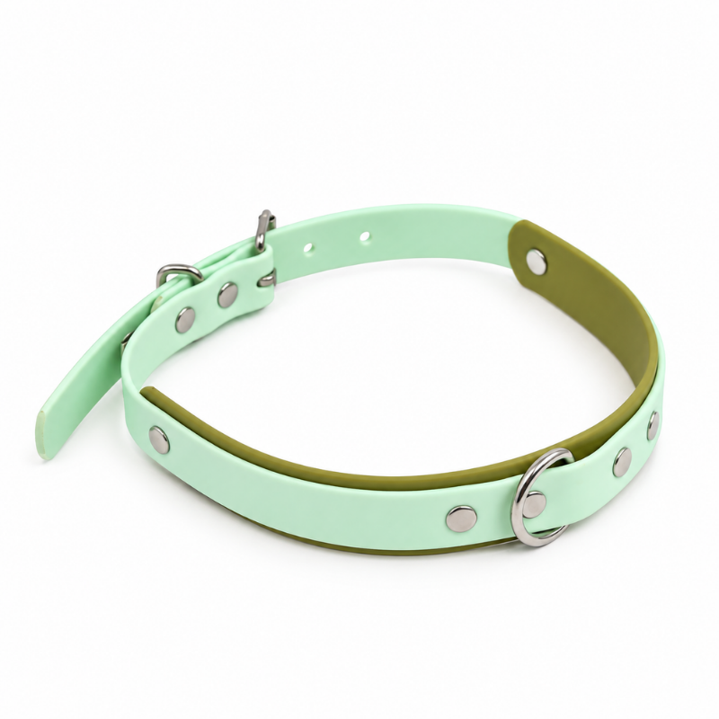 Collier pour chien imperméable vert et kaki - Waf & Co | Waf & Co