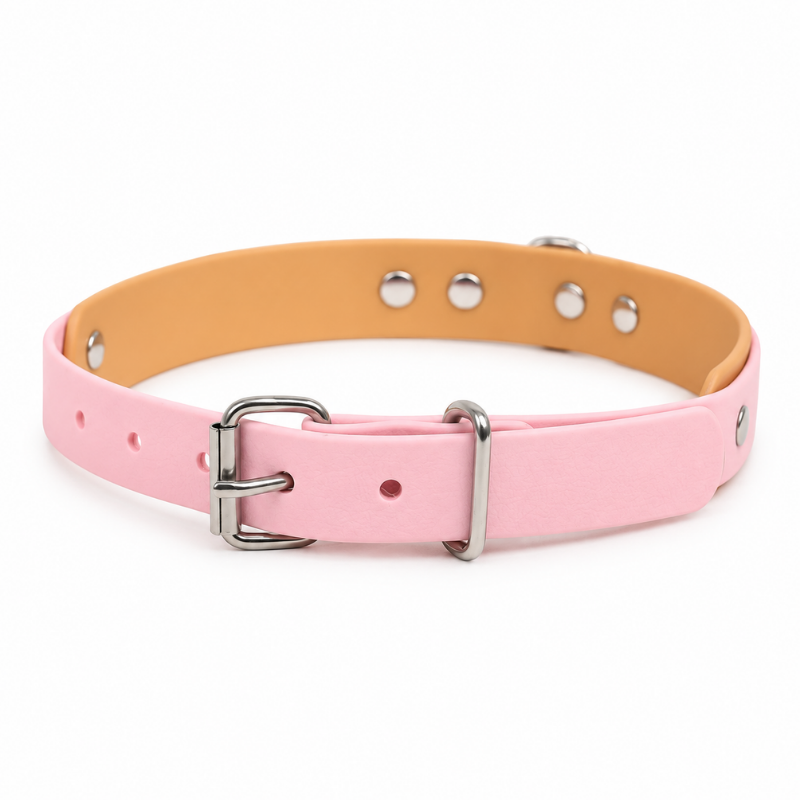 Collier pour chien imperméable rose et orange - Waf & Co | Waf & Co